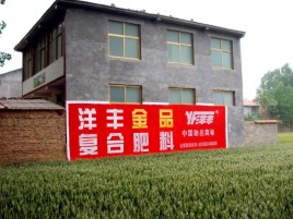 府谷如何让墙体广告展现最大化效果