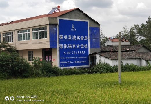 府谷决定墙体广告价格的因素有哪些？