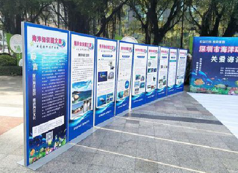 府谷KT板的种类和知识。